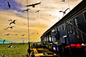 短信压力测试器